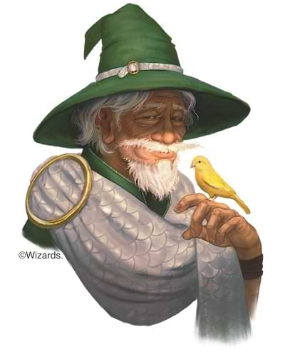 fizban-artwork.jpg