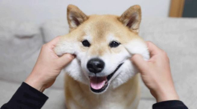 다운로드.png